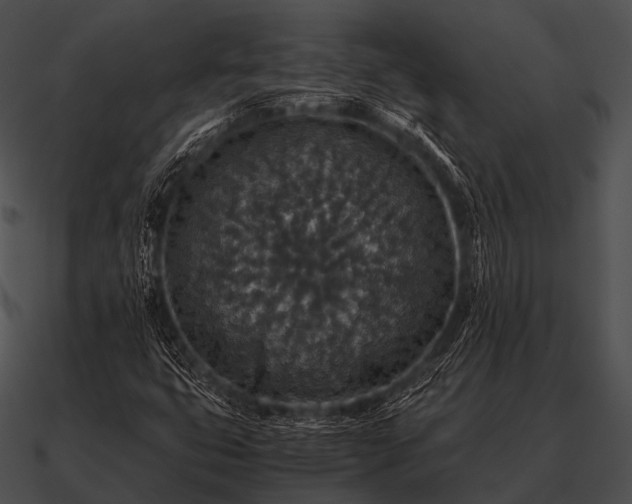 X0000090701399200708031404