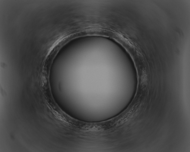 X0000090701400200708031404