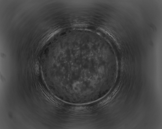 X0000090701401200708031404