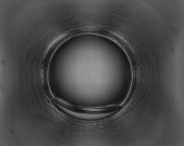 X0000090701402200708031404