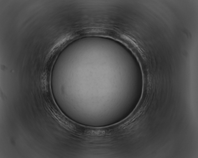 X0000090701403200708031404