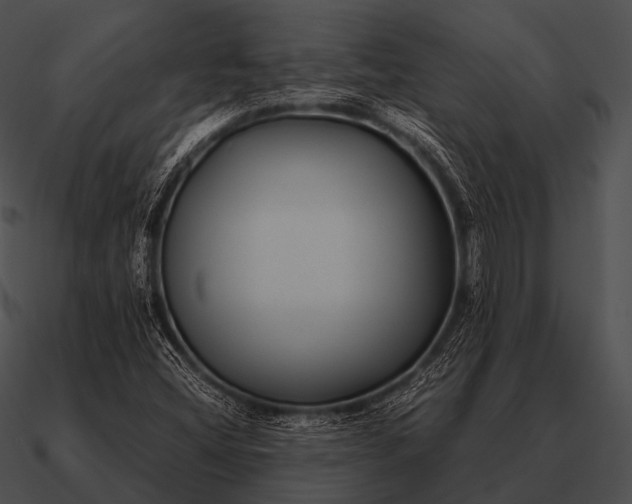 X0000090701404200708031404