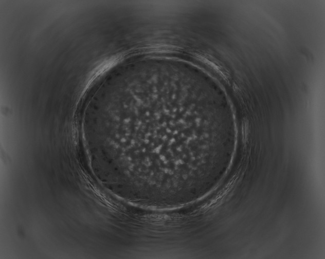 X0000090701405200708031404