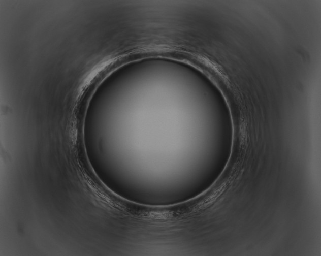 X0000090701406200708031404