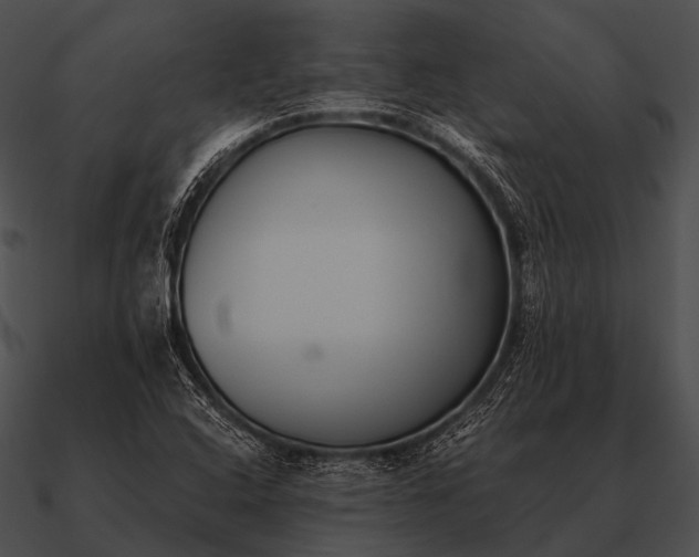 X0000090701408200708031404