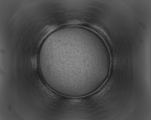 X0000090701409200708031404