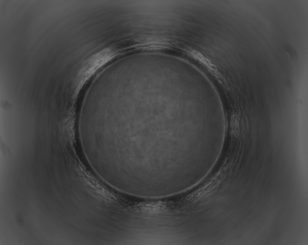 X0000090701410200708031404