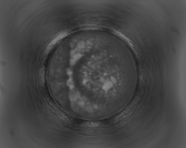 X0000090701411200708031404