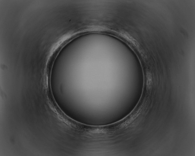 X0000090701414200708031404