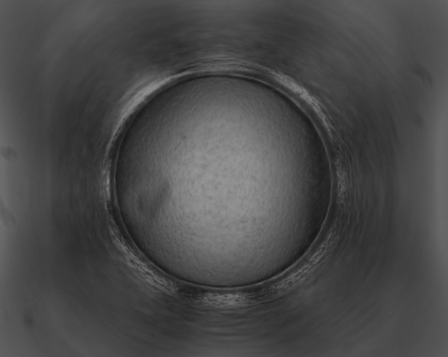 X0000090701415200708031404