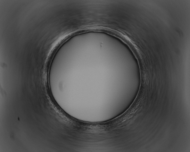 X0000090701416200708031404