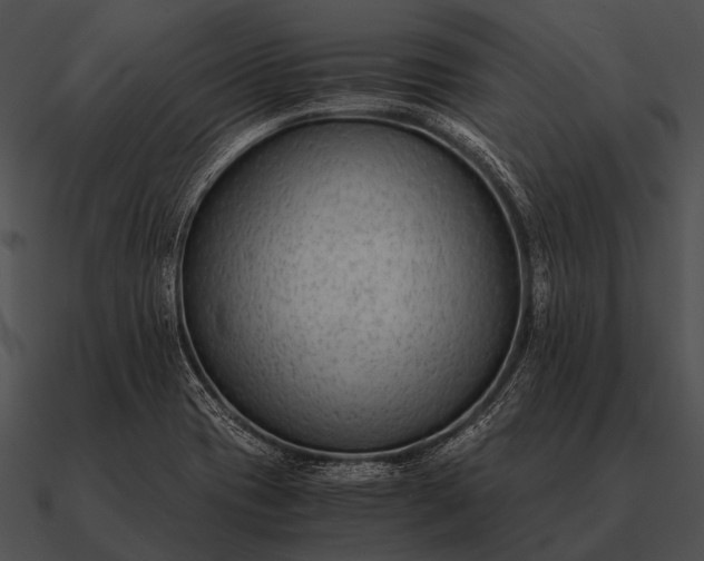 X0000090701417200708031404