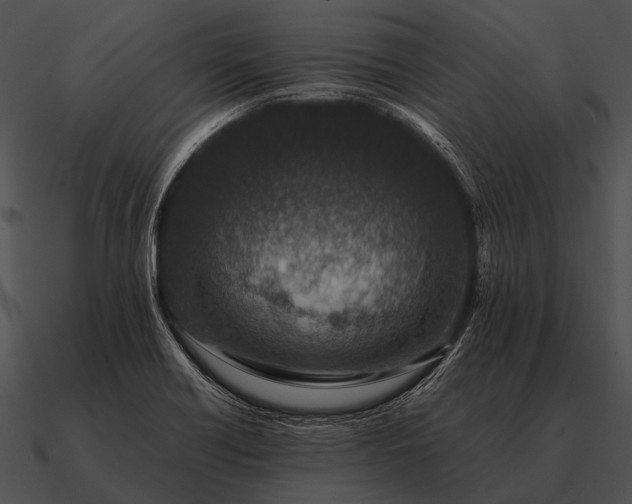 X0000090701418200708031404