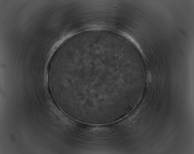 X0000090701419200708031404