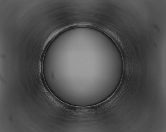 X0000090701420200708031404