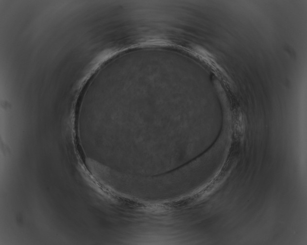 X0000090701422200708031404