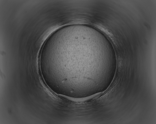 X0000090701423200708031404