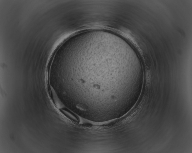 X0000090701424200708031404