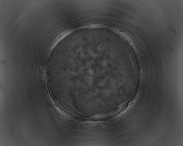 X0000090701425200708031404