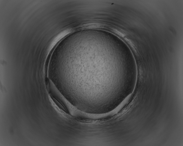 X0000090701426200708031404