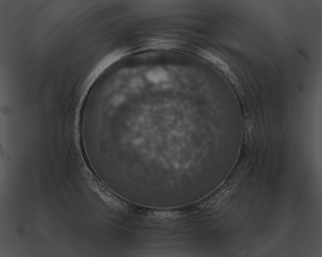 X0000090701427200708031404