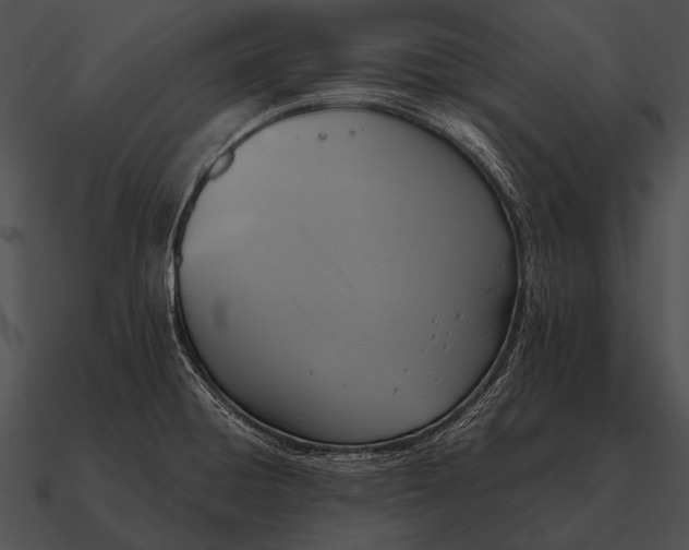 X0000090701428200708031404