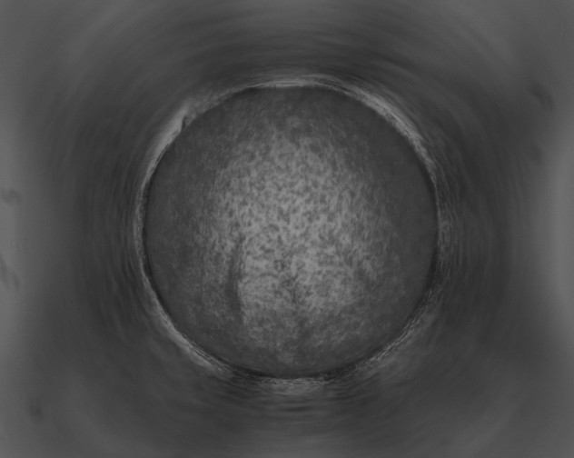 X0000090701429200708031404