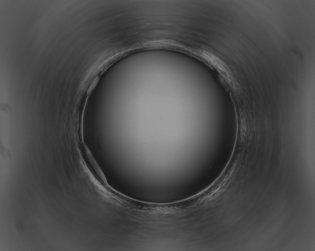 X0000090701430200708031404