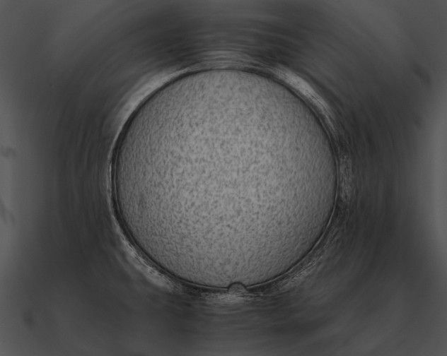 X0000090701431200708031404