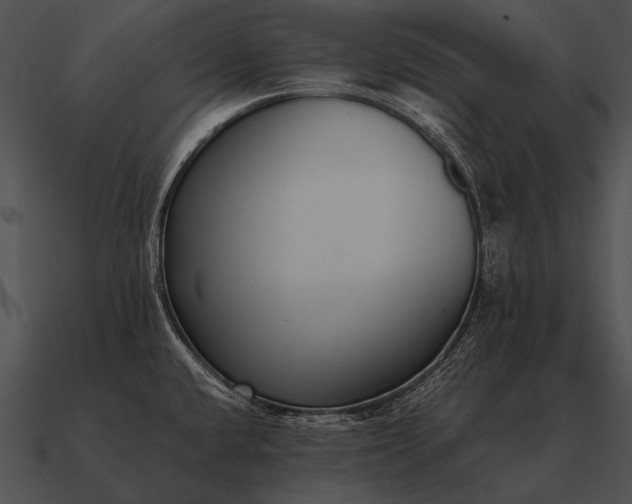 X0000090701432200708031404