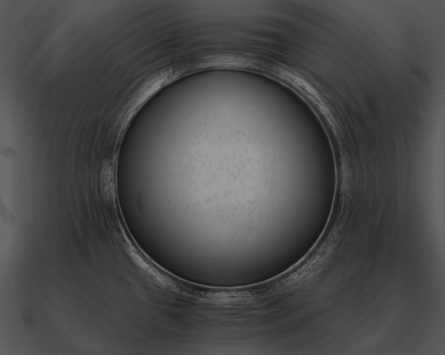 X0000090701433200708031404