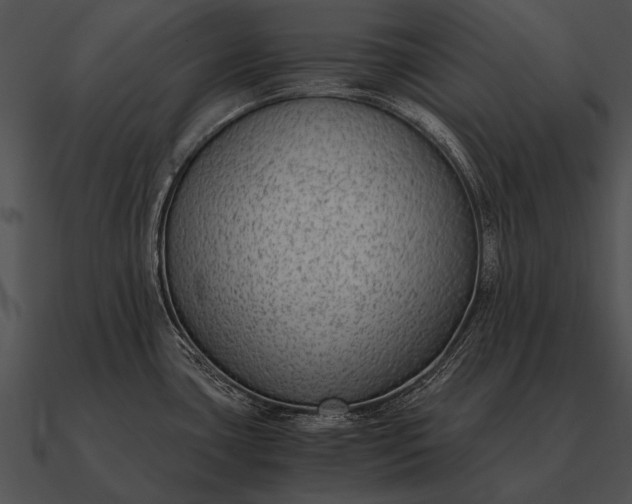 X0000090701435200708031404