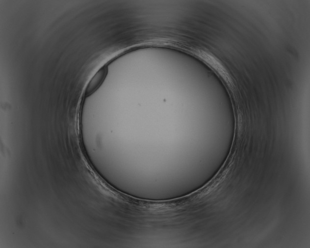 X0000090701436200708031404