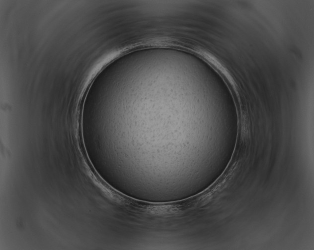 X0000090701437200708031404