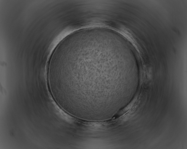 X0000090701438200708031404