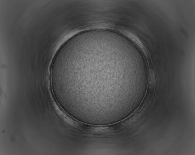 X0000090701439200708031404