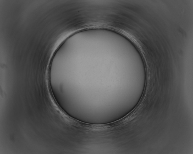 X0000090701440200708031404