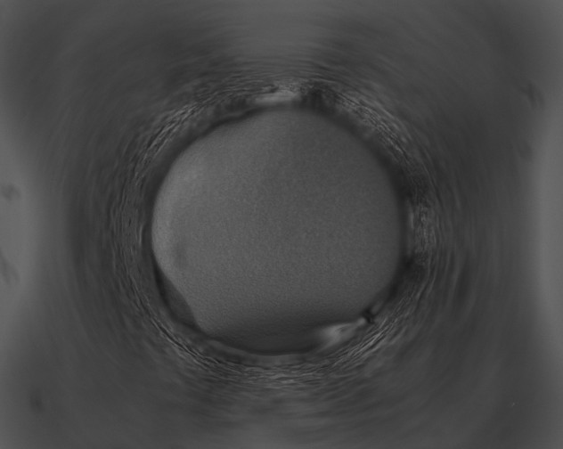 X0000090701441200708031404