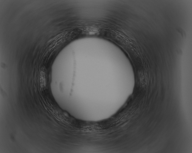 X0000090701442200708031404