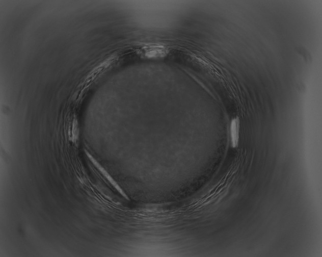 X0000090701443200708031404