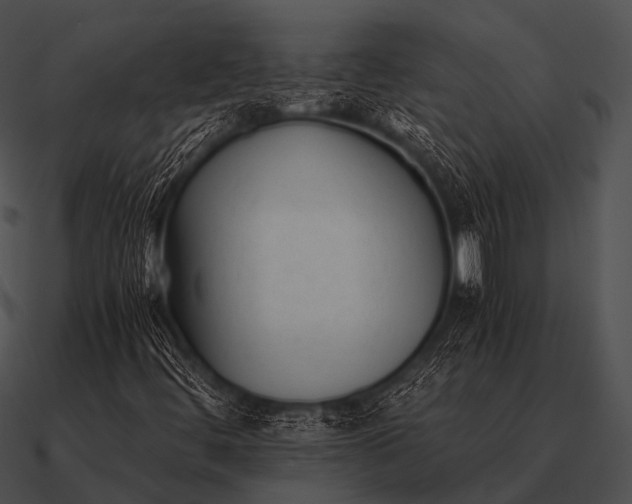 X0000090701444200708031404