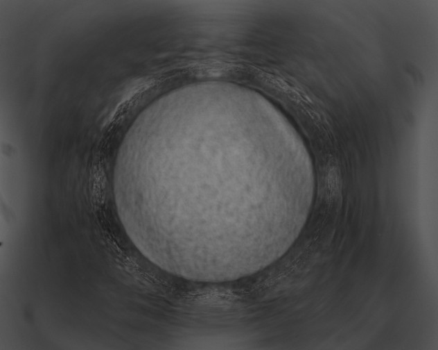 X0000090701446200708031404