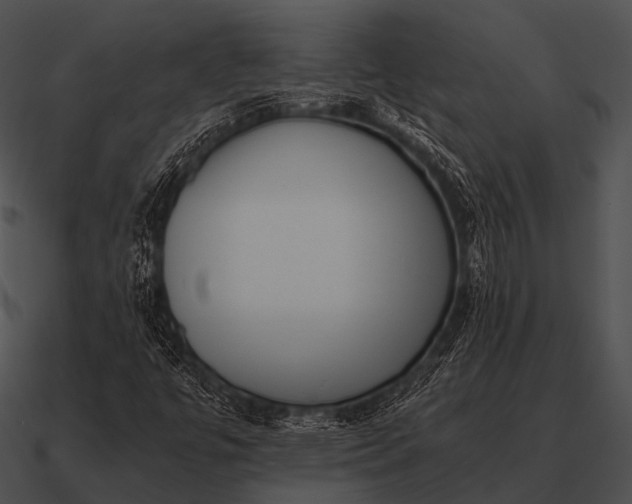 X0000090701447200708031404