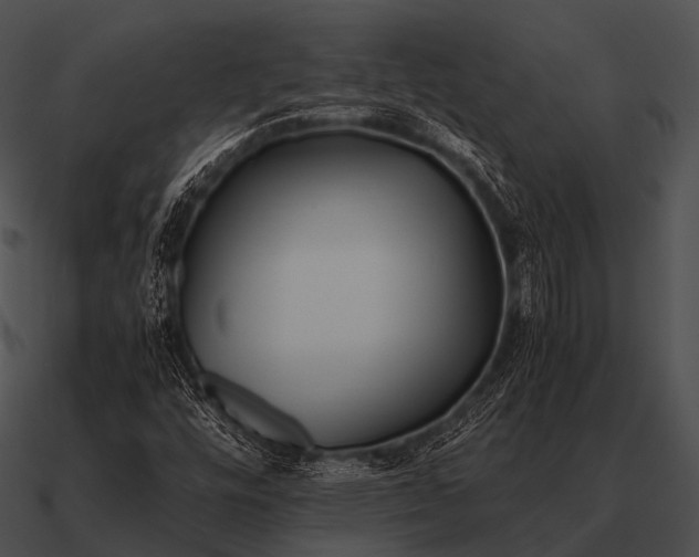 X0000090701448200708031404