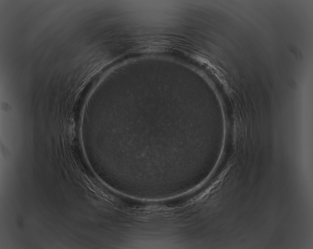 X0000090701449200708031404