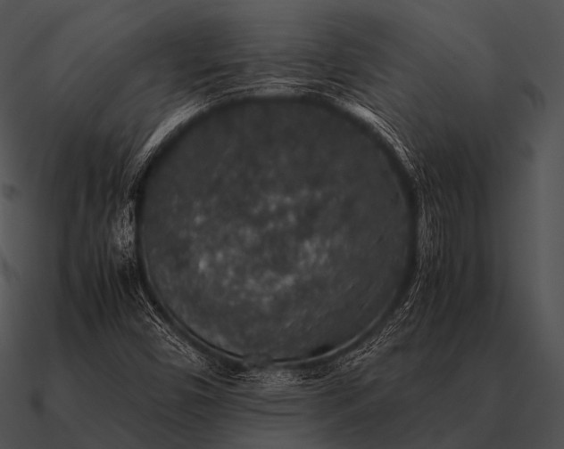 X0000090701450200708031404