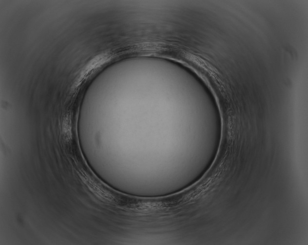 X0000090701451200708031404