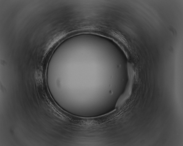 X0000090701452200708031404