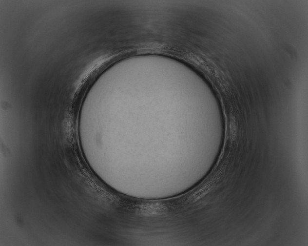 X0000090701454200708031403