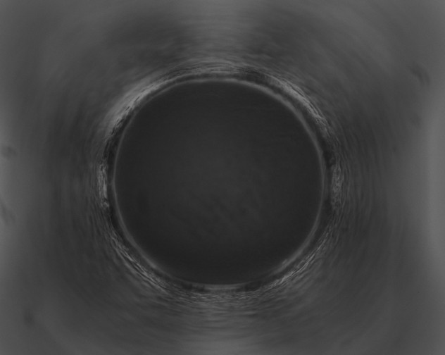 X0000090701455200708031403